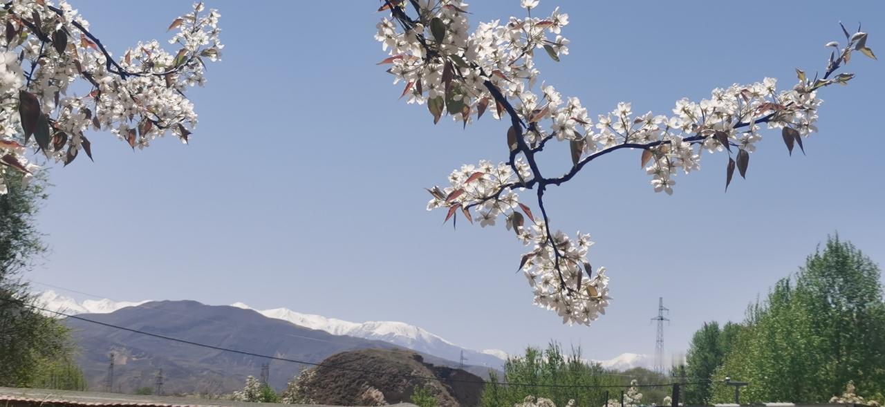 “一管就死，一放就乱”这是想当年公车改革前夕一部分“人”的共识。特别是有“专车”