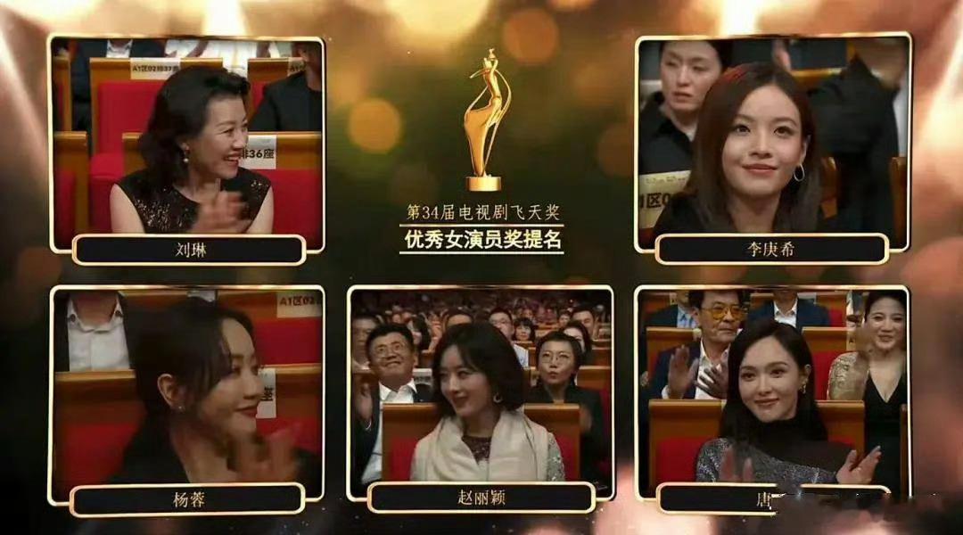 上届飞天奖也是奇怪，刘琳《父辈的荣耀》以及杨蓉《大山的女儿》竟然输给了赵丽颖？ 