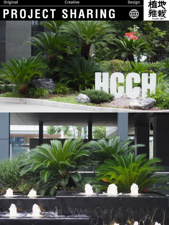 案例✿｜HCCH｜大厦户外植物景观养护