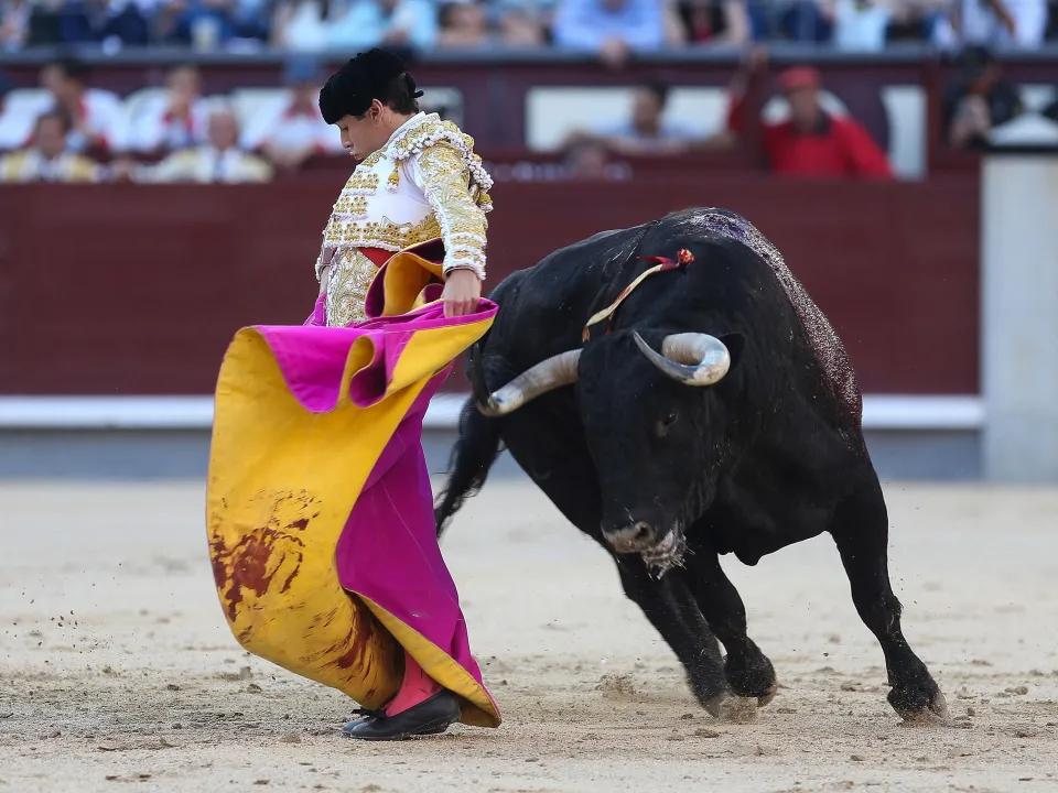 在西班牙那热血沸腾、充满传统韵味的斗牛场上，曾经的“斗牛之王”莫兰特·德·拉·普