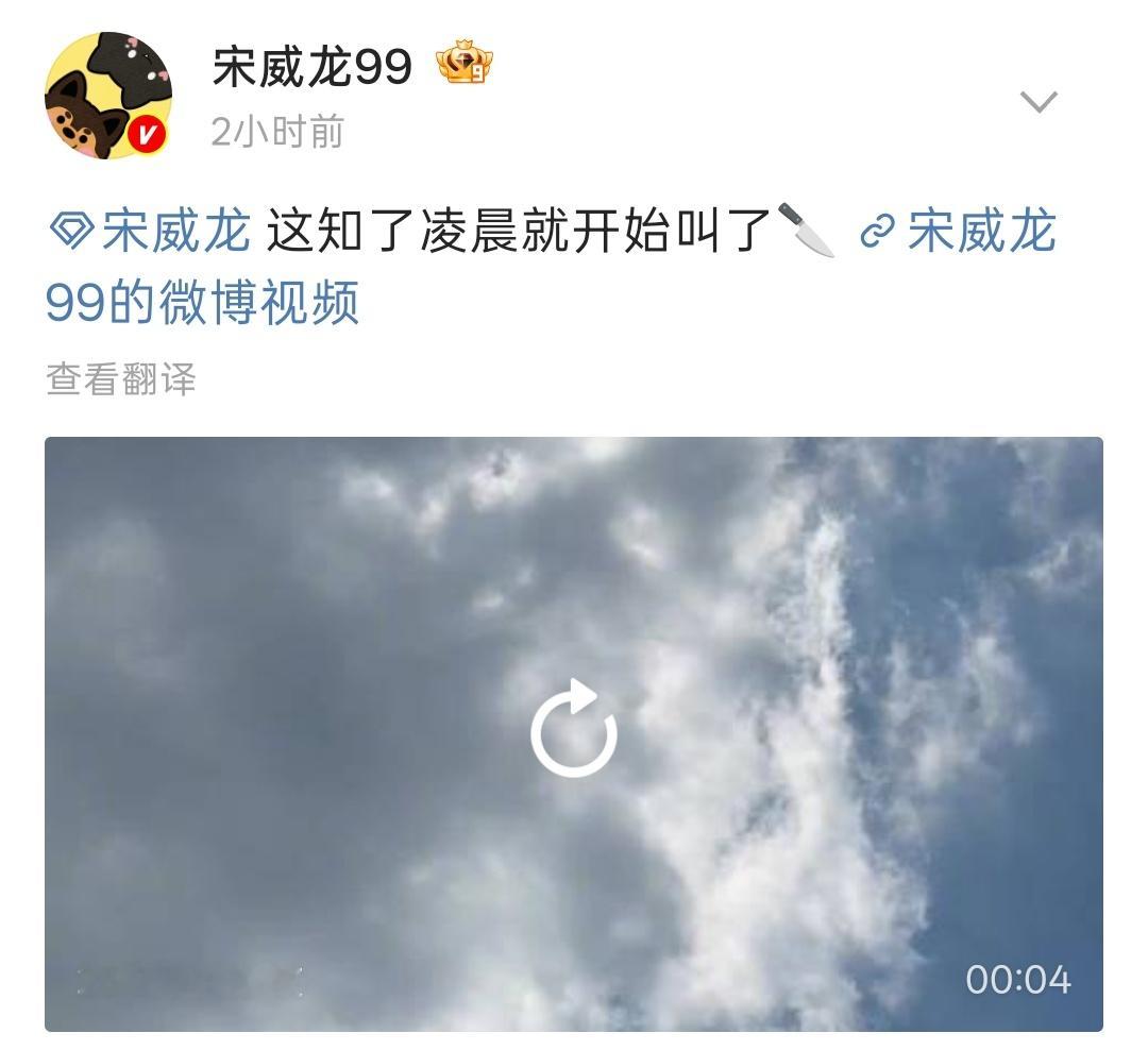 这个宋威龙完全是魔丸来着。。被吵到直接徒手抓知了教育了一顿“你继续叫啊”。。哈哈