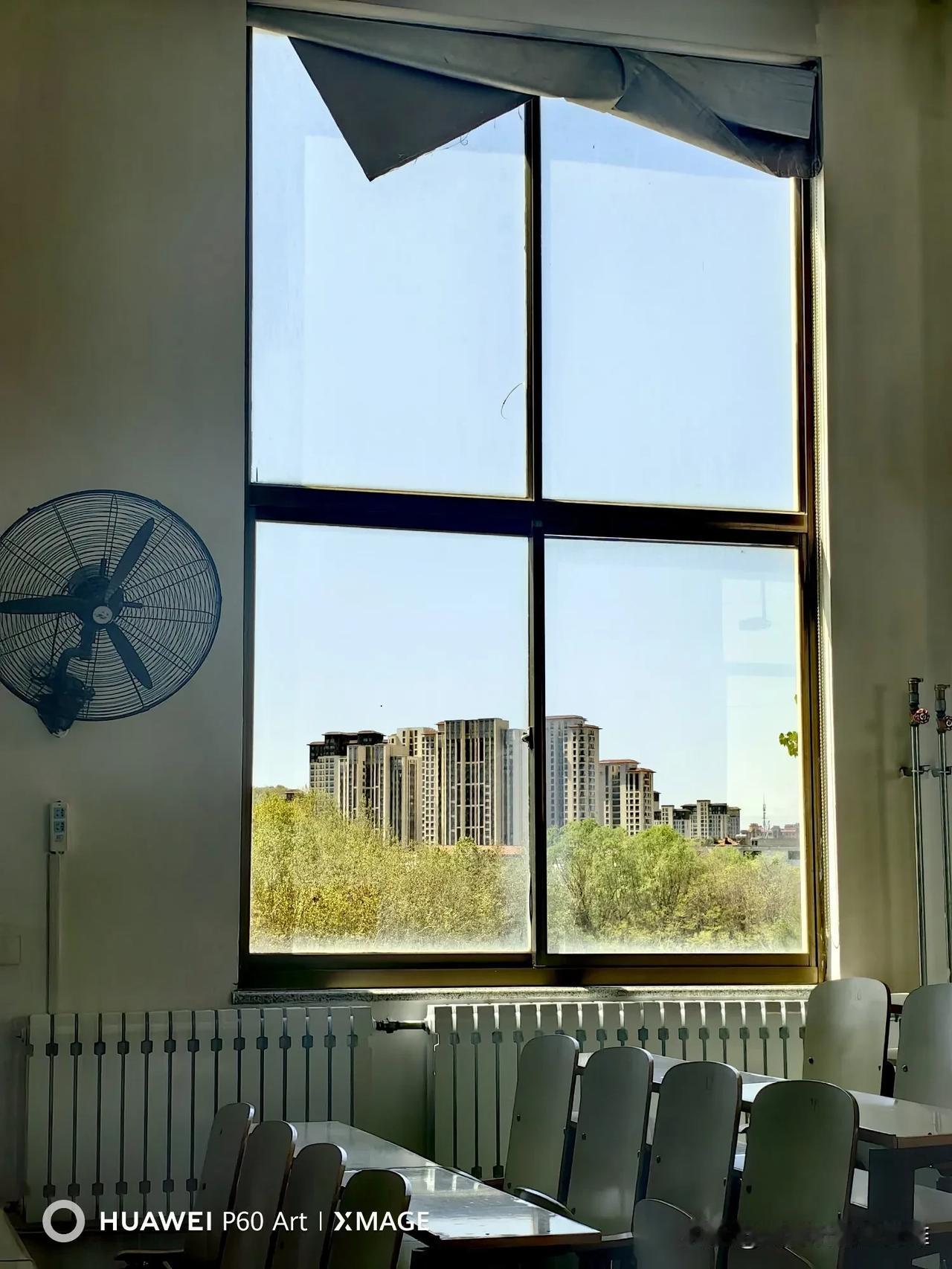 处处皆风景，何必多奔波。

给孩子们上课的时候，偶然瞥了瞥窗外，就发现了不一样的