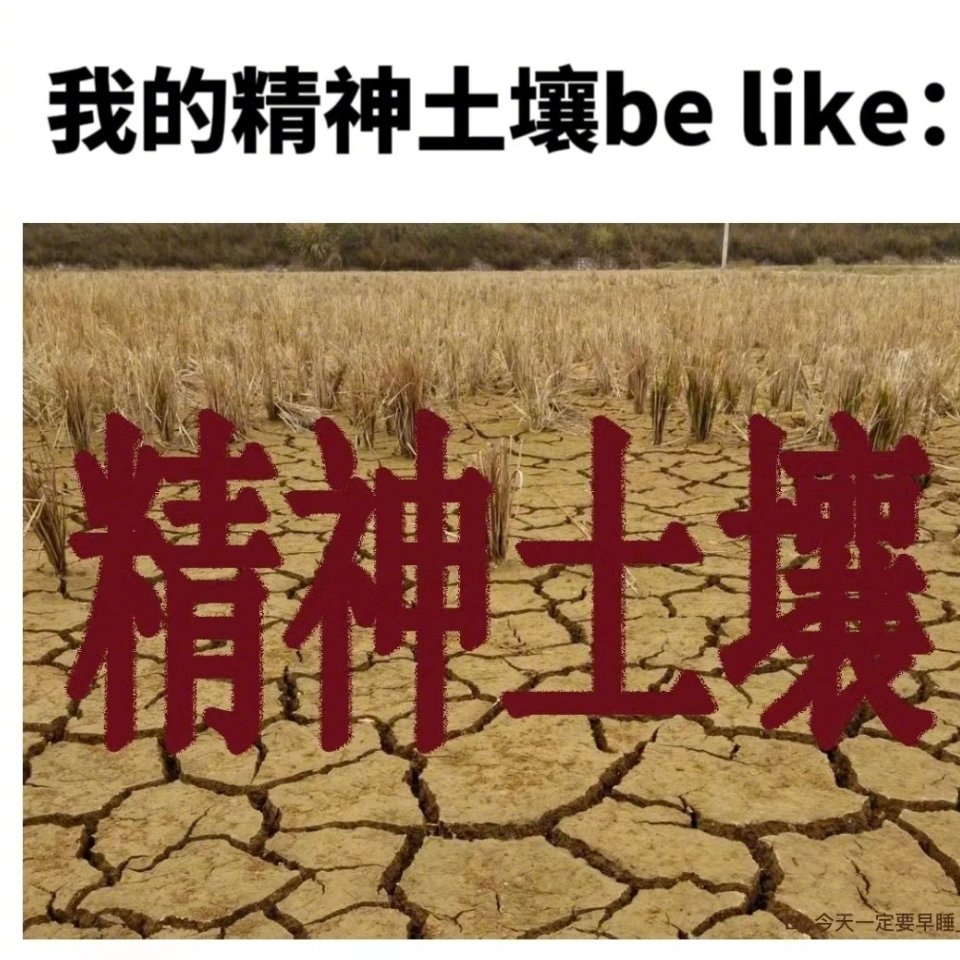 本人目前的精神状态be like： ​​​