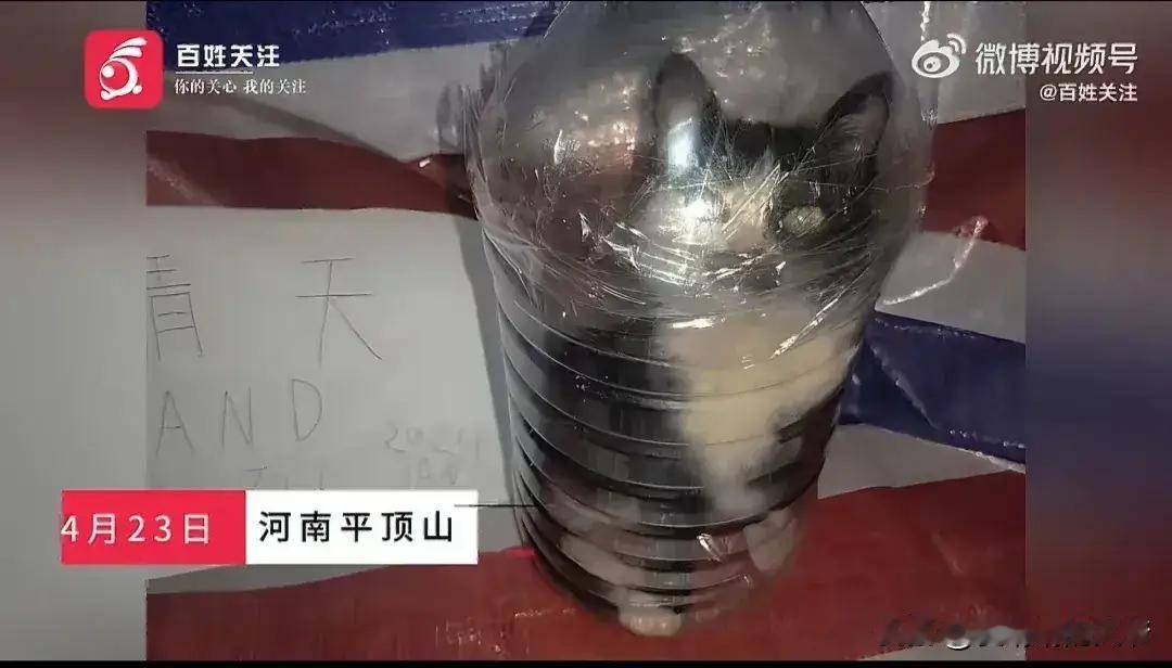 我将删掉原文链接，优化语句流畅度、强化情感与舆论冲击力，保留事件核心信息与呼吁态