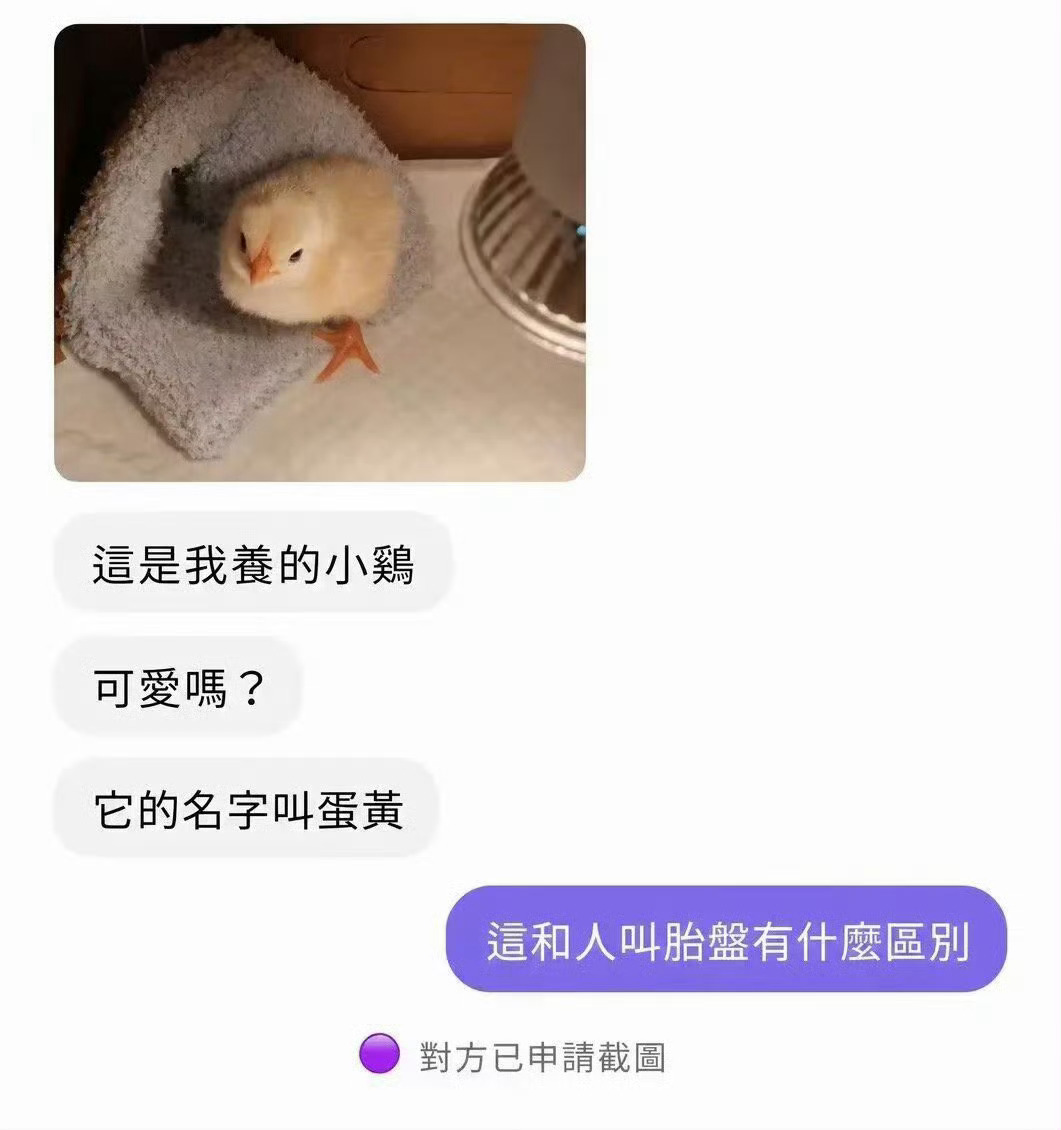 6431你好 胎盘 