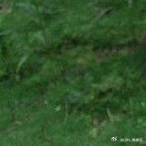 熊猫守护者 | 熊猫守护者 沒有誰的幸運，憑空而來，只有當你足夠努力，你才會足夠