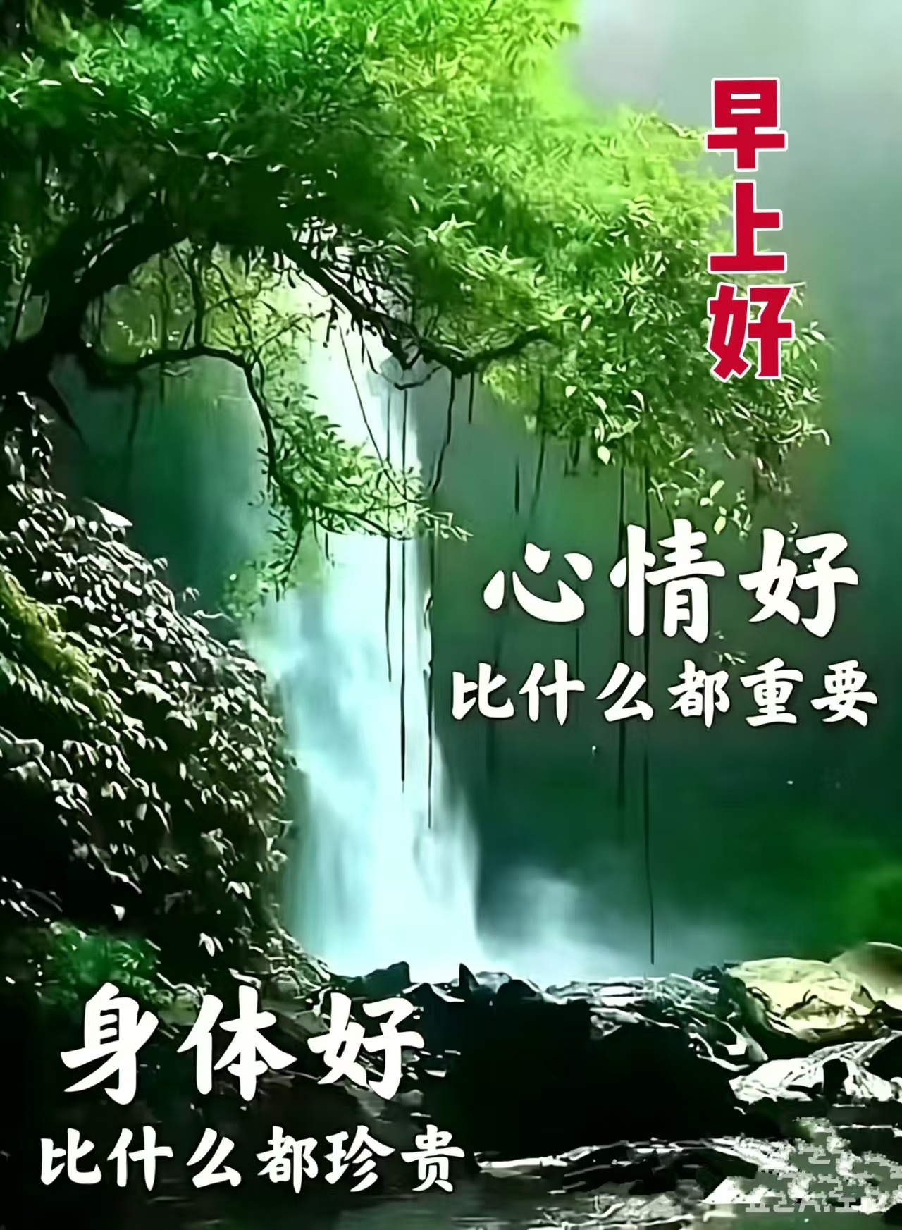 分享图片  ​​​