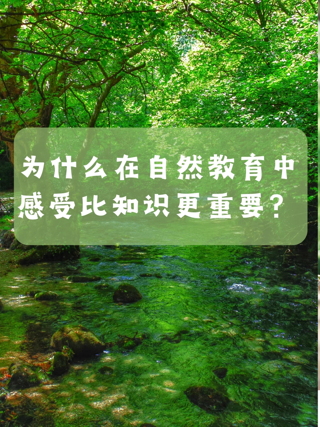 🌿自然教育感受为何比知识更重要？