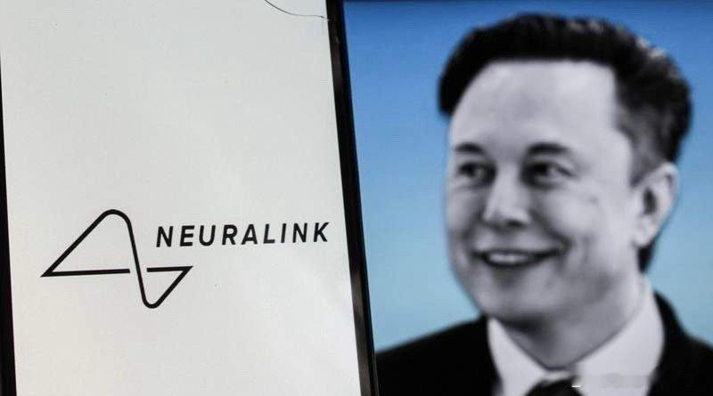 马斯克一句话，今天的脑机接口概念直接创记录——59只标的，上午14个20厘米，1