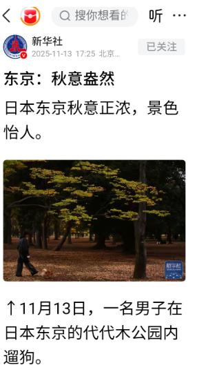 正当全国人民都在批斗日本首相高市早苗之时，新华社突然发了一组日本东京代代木公园的