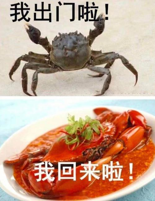 湖北39℃高温蒸煮模式开启大家好，襄阳今天又是铁板烧的一面！胡椒面，孜然面……我