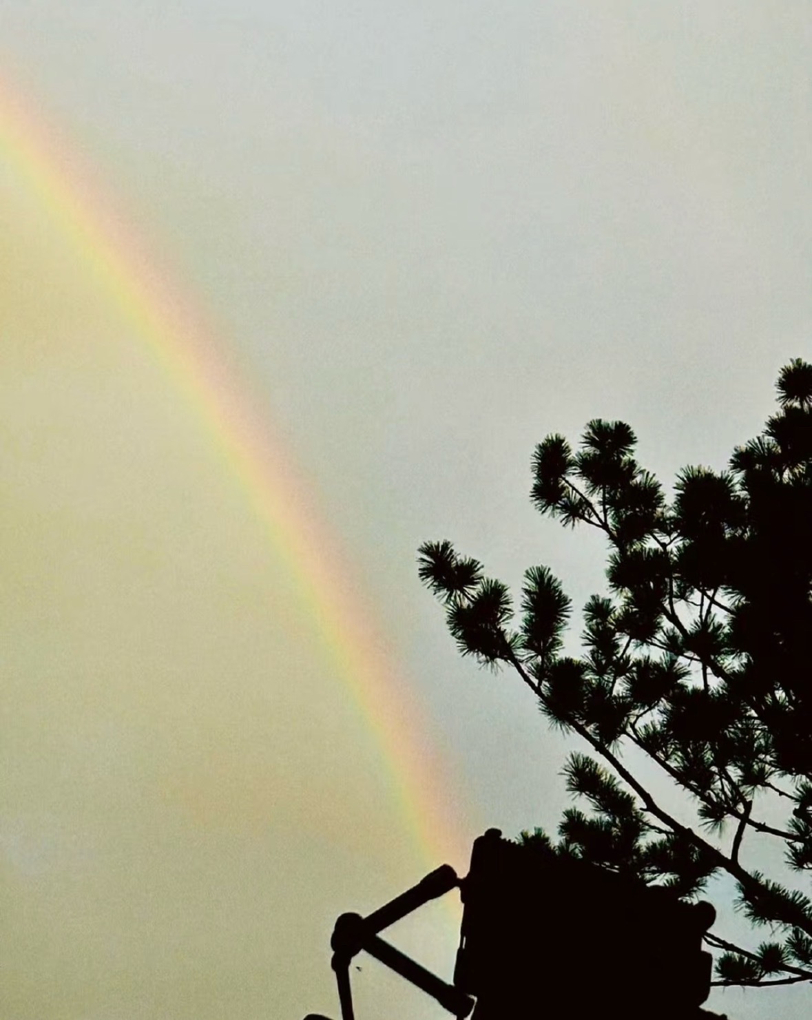 杨幂  错过的风景，不必回头张望；未完成的目标，当下就最值得出发。迎着晨光，把遗