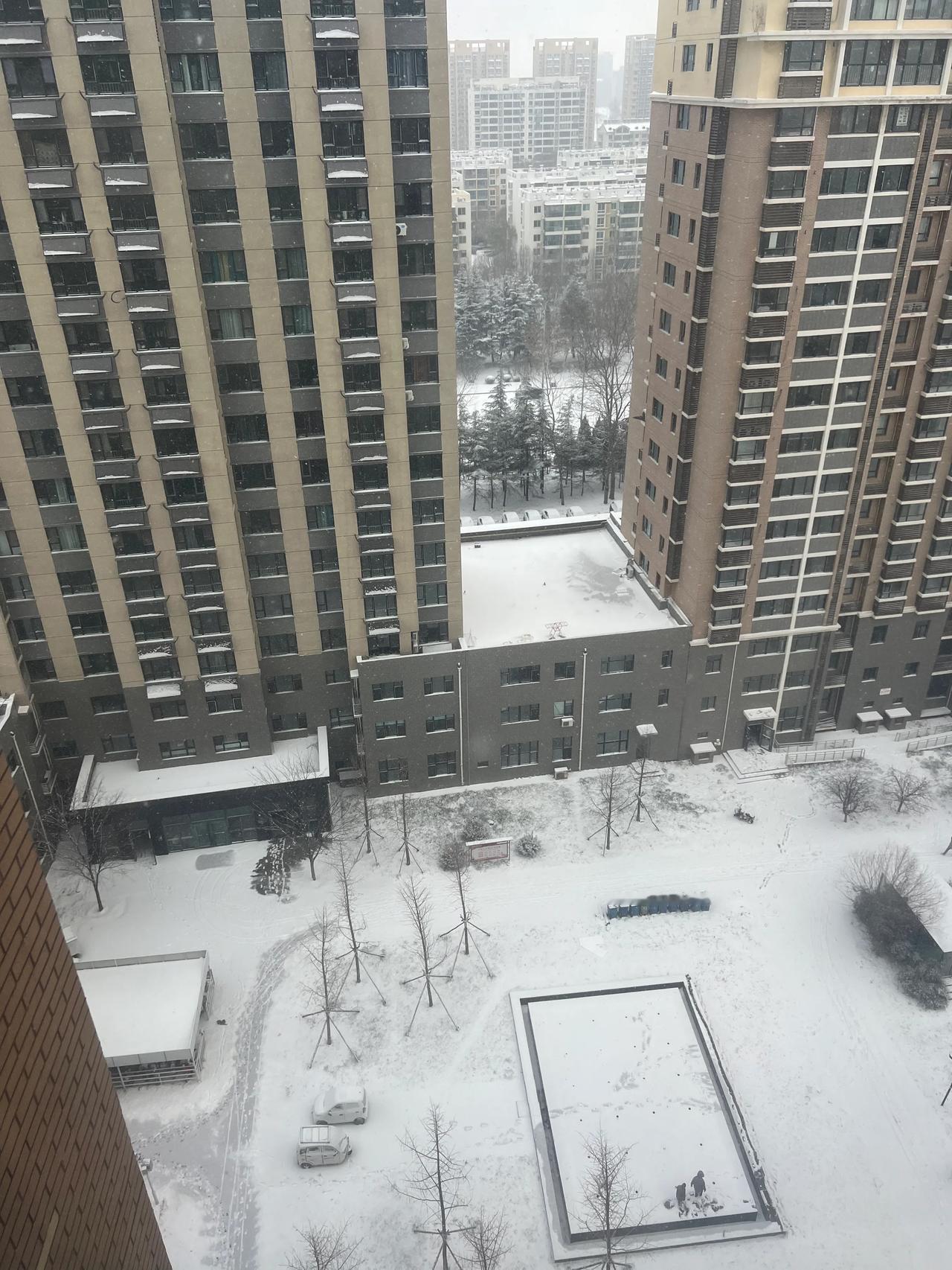 第二场雪
大雪纷纷落下
冬至节日来临
路上车辆缓行
第一次看到大型除雪车
国家在
