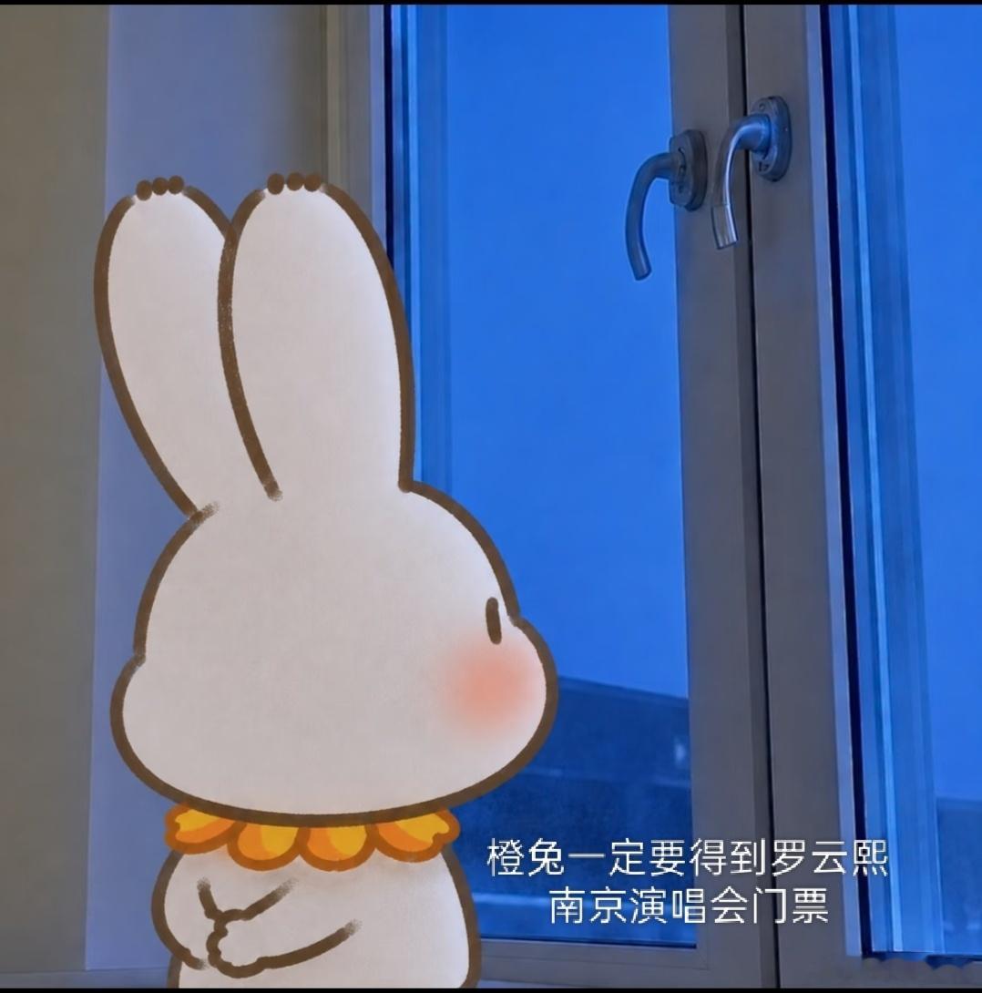 橙兔志在必得罗云熙南京演唱会门票