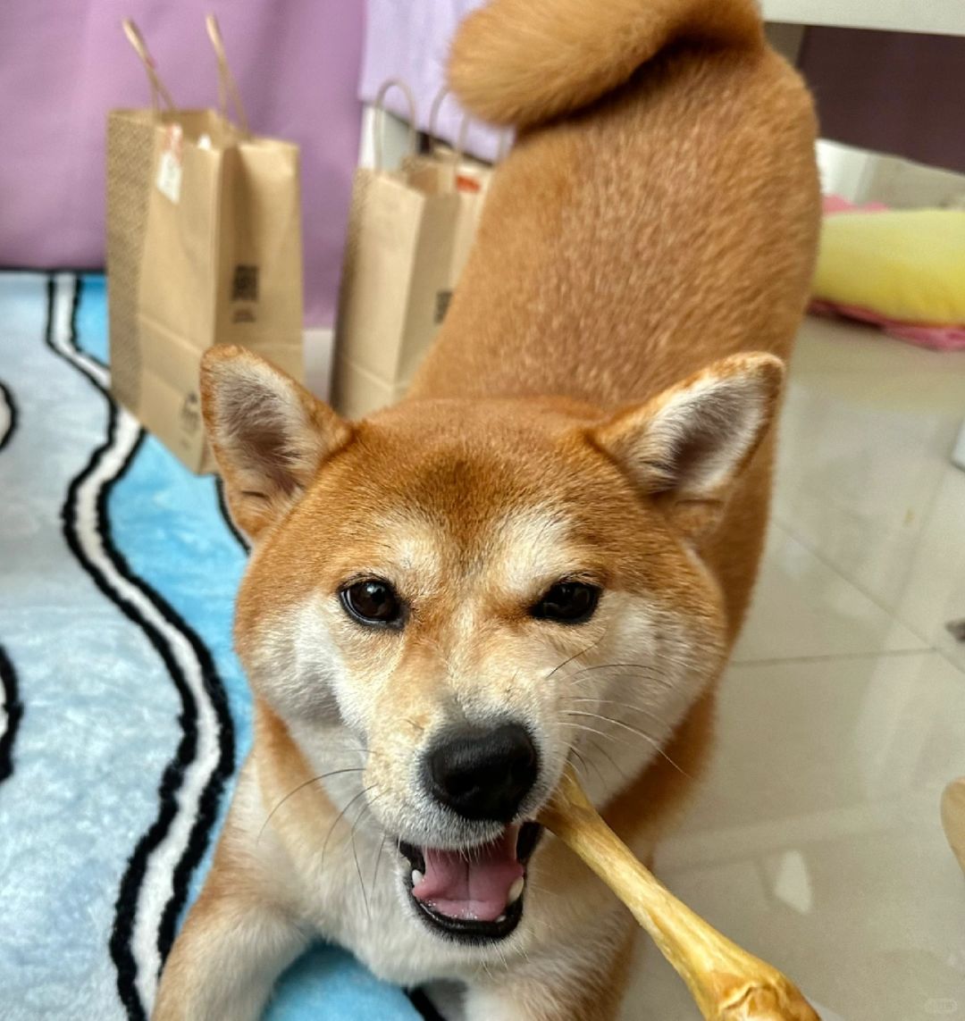 哥抽的不是烟 是寂寞