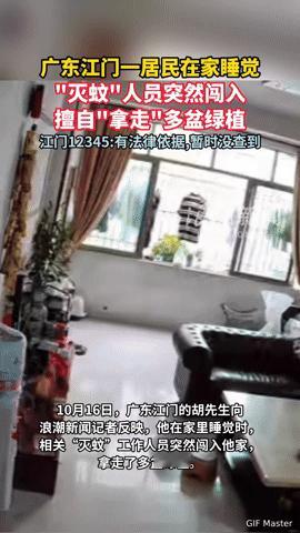 在家睡觉，“灭蚊”人员突然闯入拿走绿植，这操作合理吗？
 
你能想象在家熟睡时，
