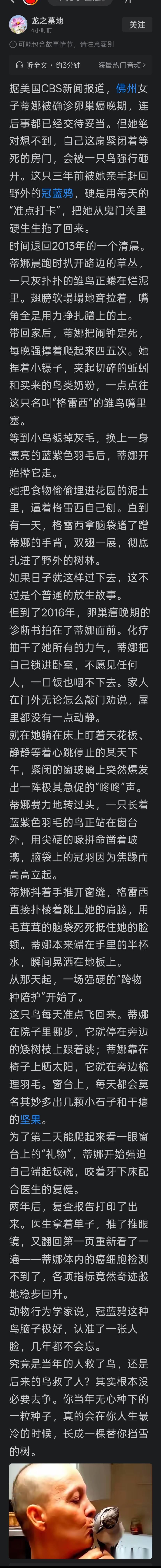 人世间的善意，是最有力量的。

因果善缘，人间值得。