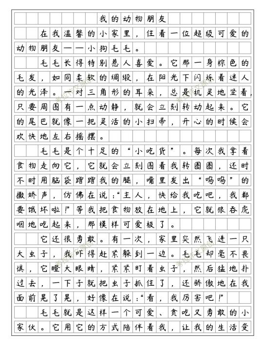 《我的动物朋友》小狗毛毛 四下优秀范文