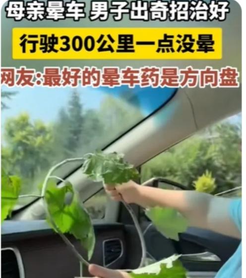 这根不起眼的树枝，治的不是晕车，是藏在岁月里的心疼与牵挂。母亲晕车几十年，短途都