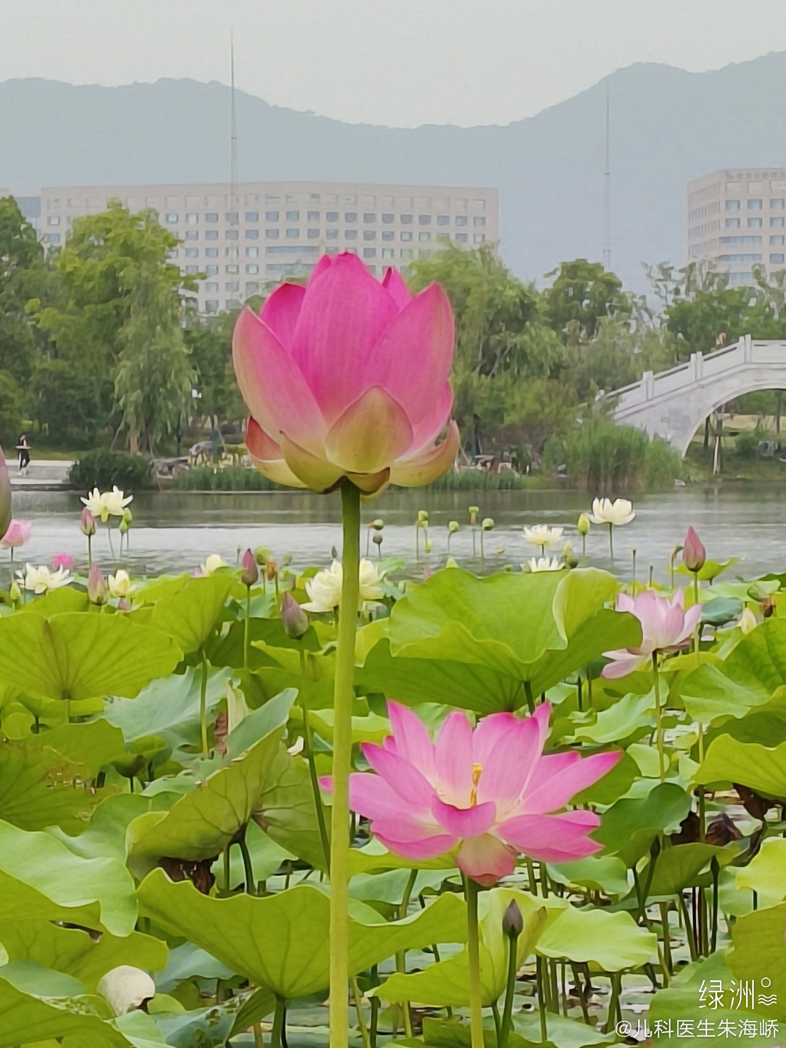 早上好！ #每日一图#  