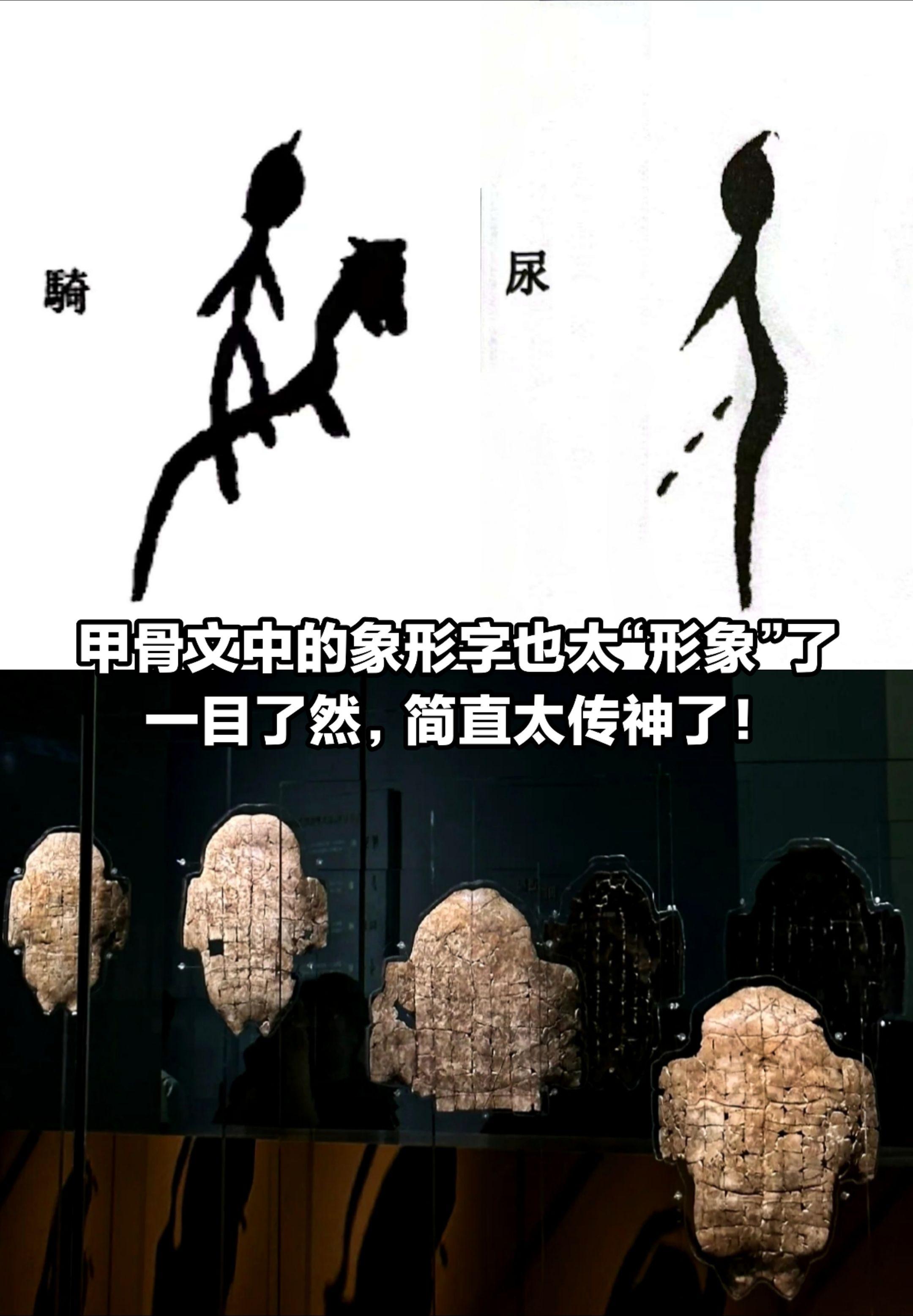 甲骨文中的象形字也太“形象了”，一目了然。