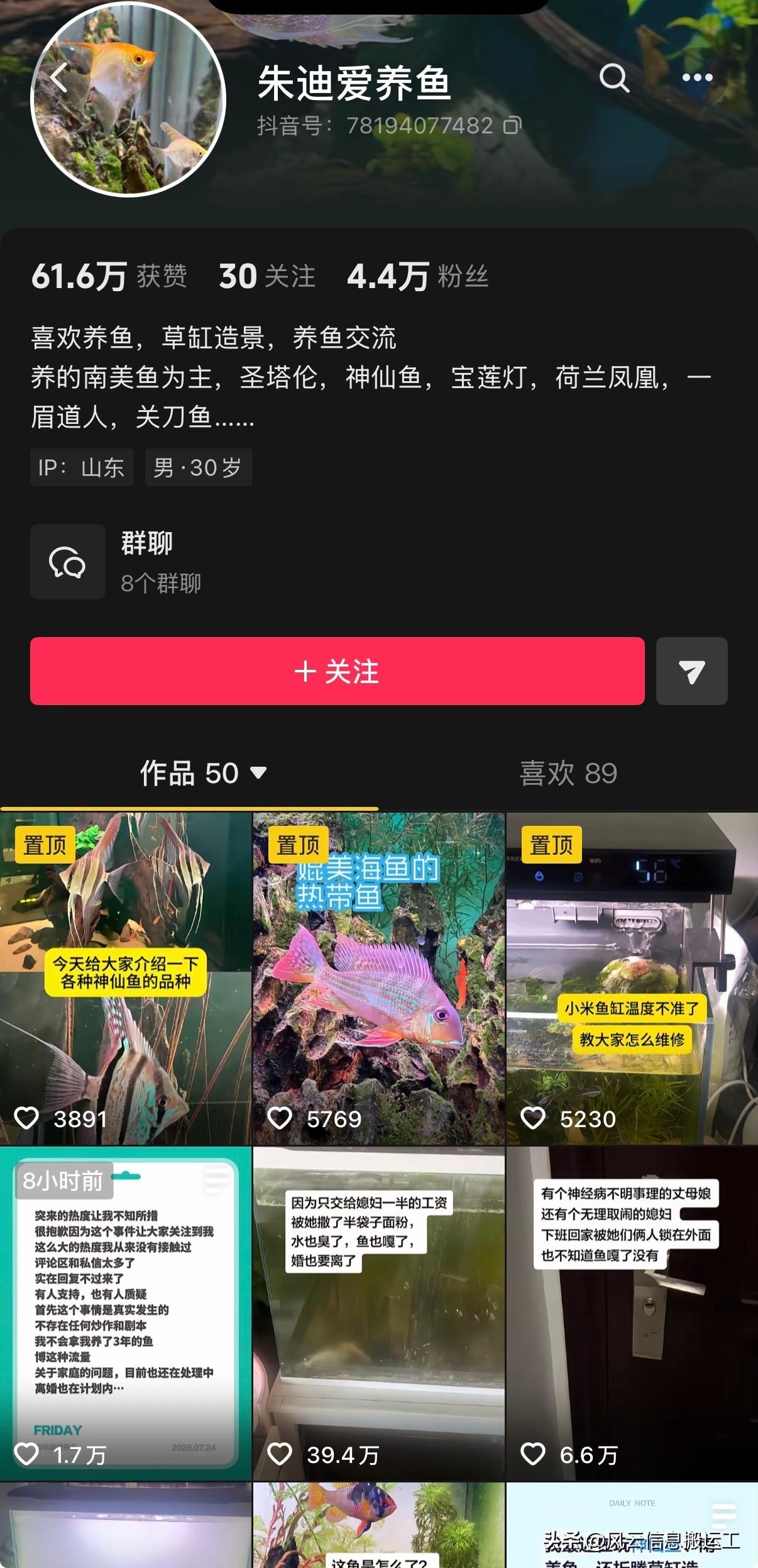 一个养鱼博主，发了好久各式各样的养鱼视频，看他视频里是真开心。

结果因为“只交