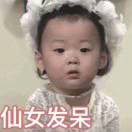 森逛逛科技