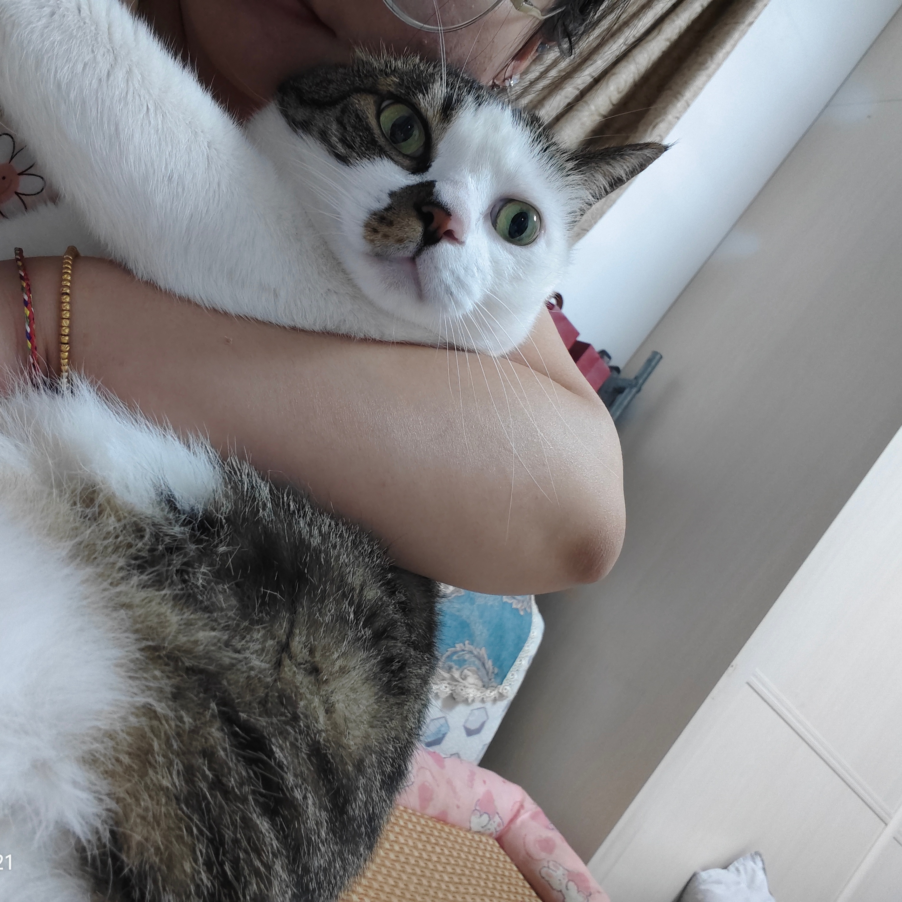 看看小猫 哦不 看看大卡车🐱 