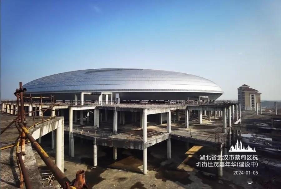 武汉世茂嘉年华项目启动拍卖！

近日，武汉市蔡甸区大集街天星、溪水、凤凰村的土地