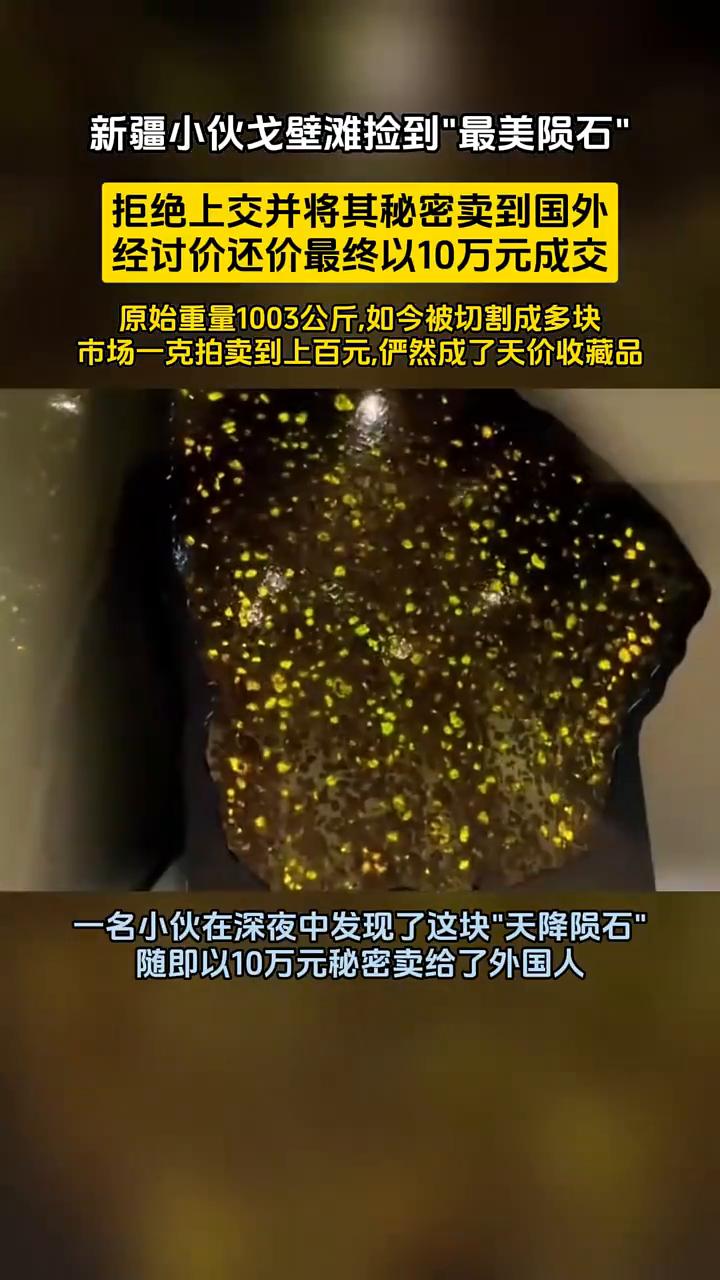 新疆小伙戈壁滩捡到"最美陨石"，拒绝上交并将其秘密卖到国外，经讨价还价最终以10