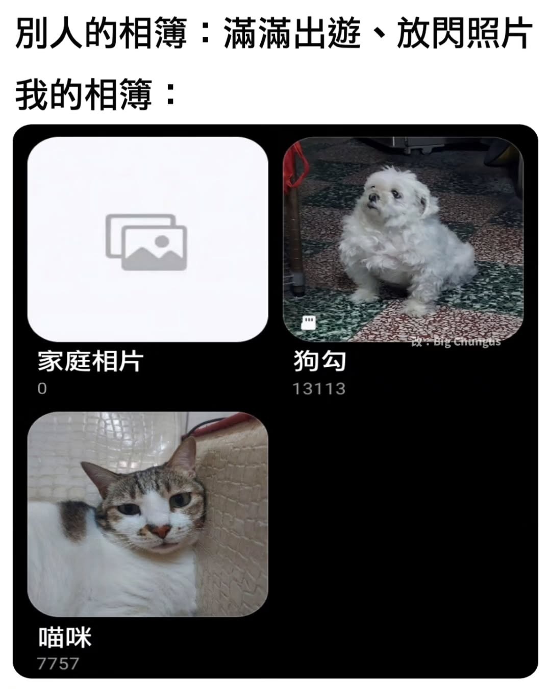 me be like🐈🐕:meme