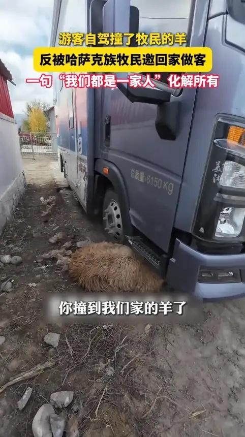 “上央视新闻了！”新疆阿勒泰，一女子自驾游时，不小心撞到了牧民的羊，羊腿骨折活不