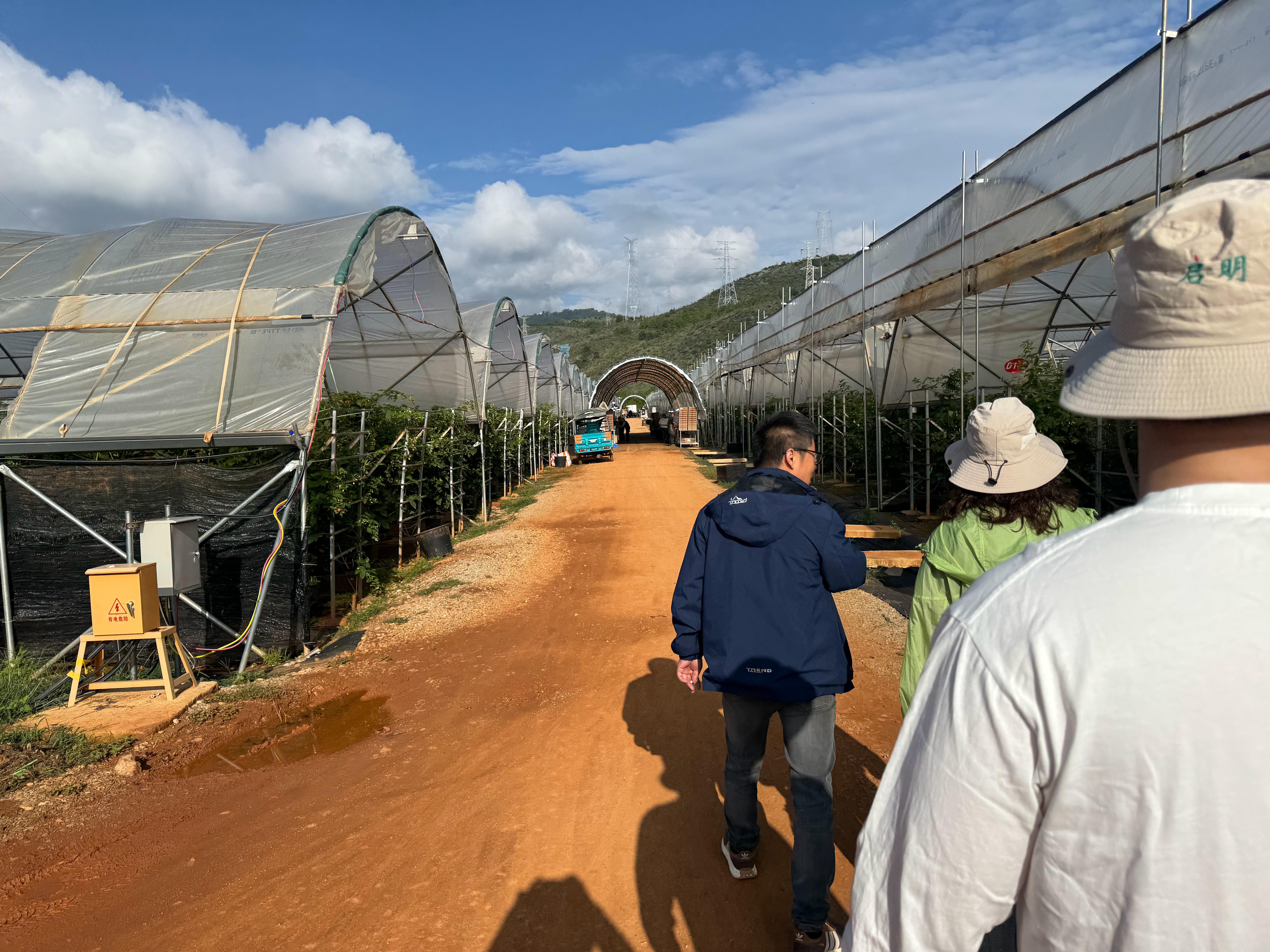 和长辈旅游像在拍极限挑战，四点睡觉七点起床九点到达基地进行一个采摘 