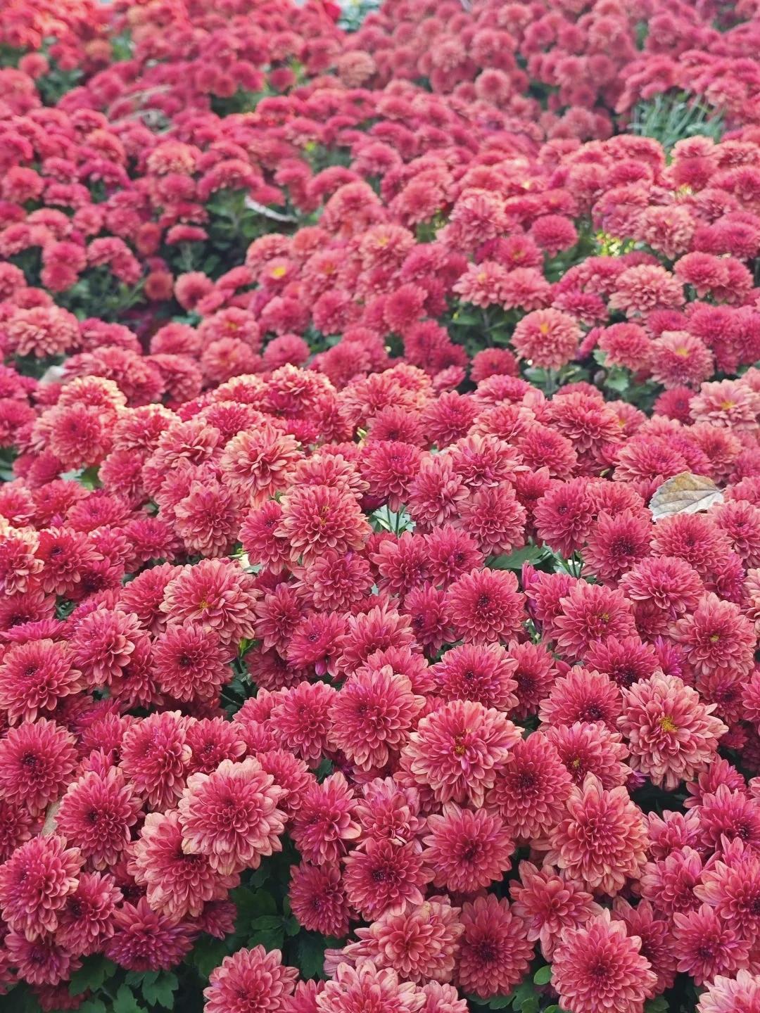 【男人一生最成功的投资，就是让妻子笑着跟你一辈子】
        男人一生最成