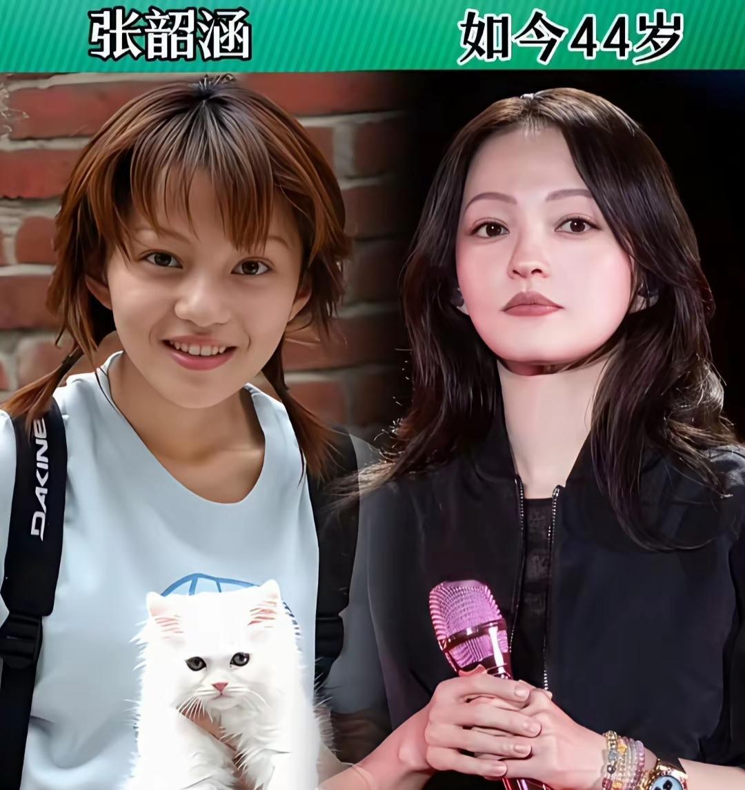 张韶涵好像没有什么变化
林志玲好像没有什么变化
安以轩好像没有什么变化
这三位童