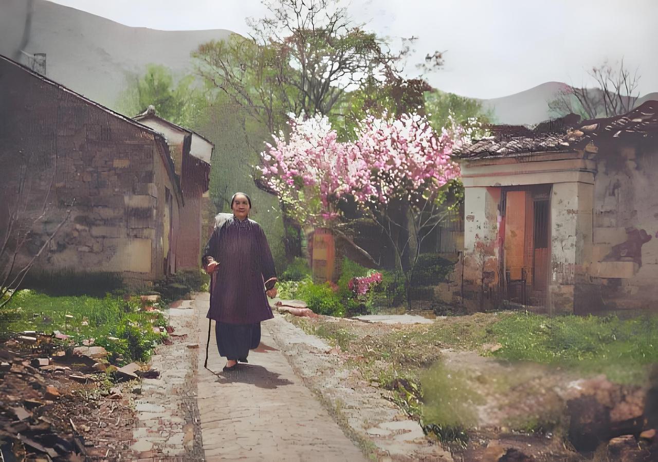 1900年前后，乡下有个老太太，裹着小脚、拄着拐杖，在青石板路上慢慢挪。身后是破