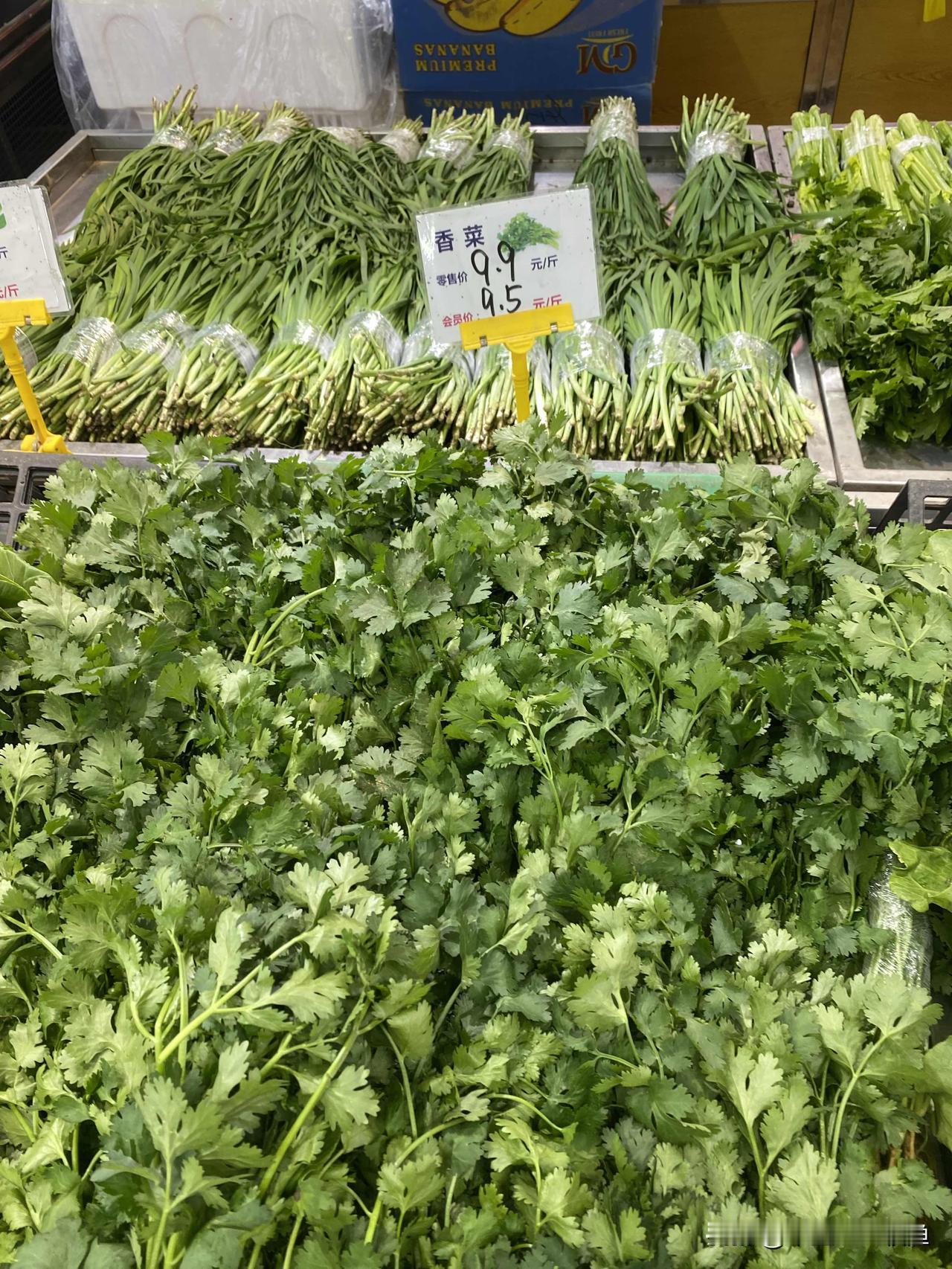 香菜，我家喜欢吃了，所以我经常关注市场上香菜的价格。大连南石道街附近市场和超市里