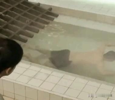 13岁男孩泡澡突发脑出血！42度热水澡泡40分钟，家长必看警示
 
这事儿太揪心