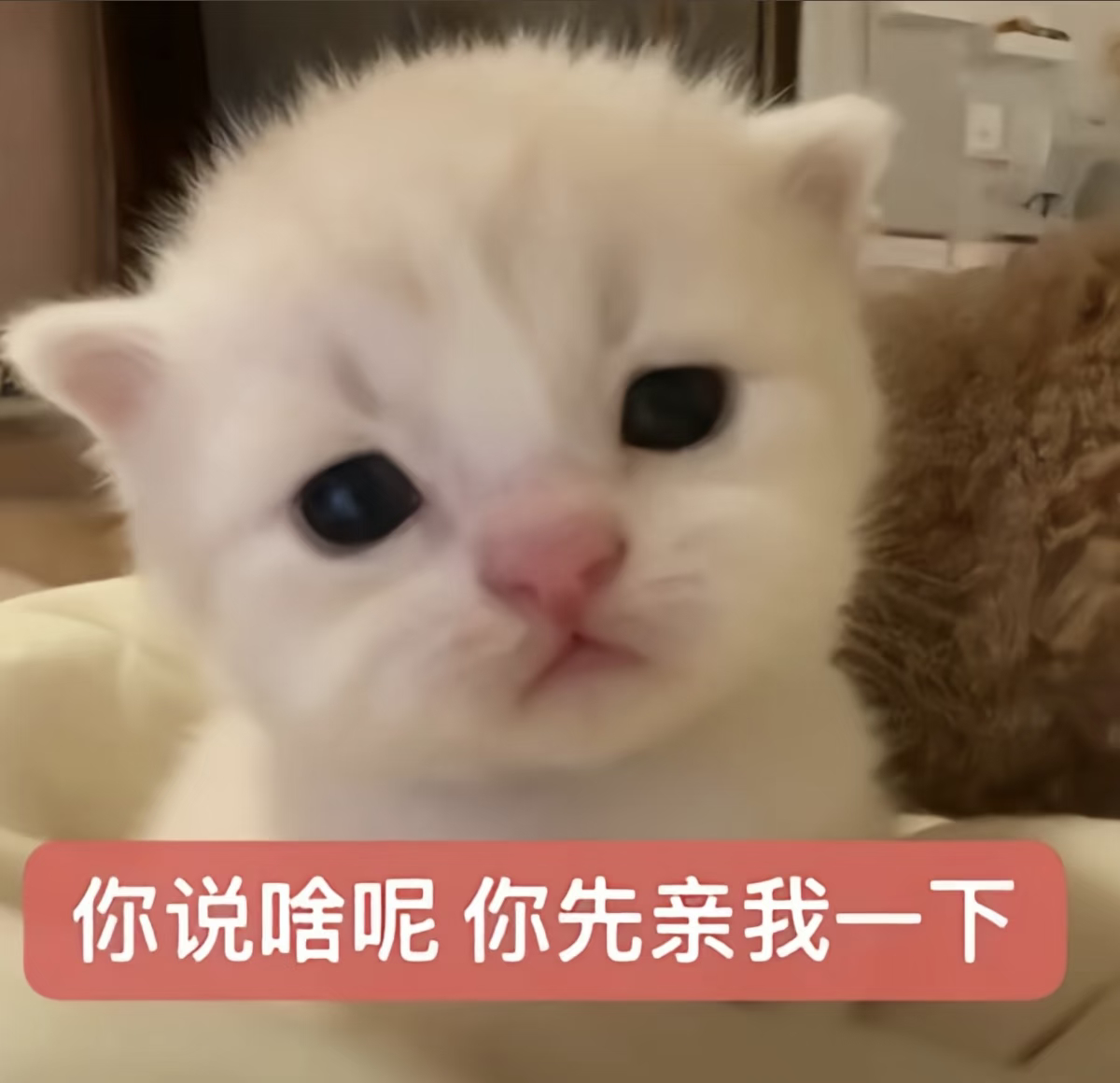 所有人路过报备 