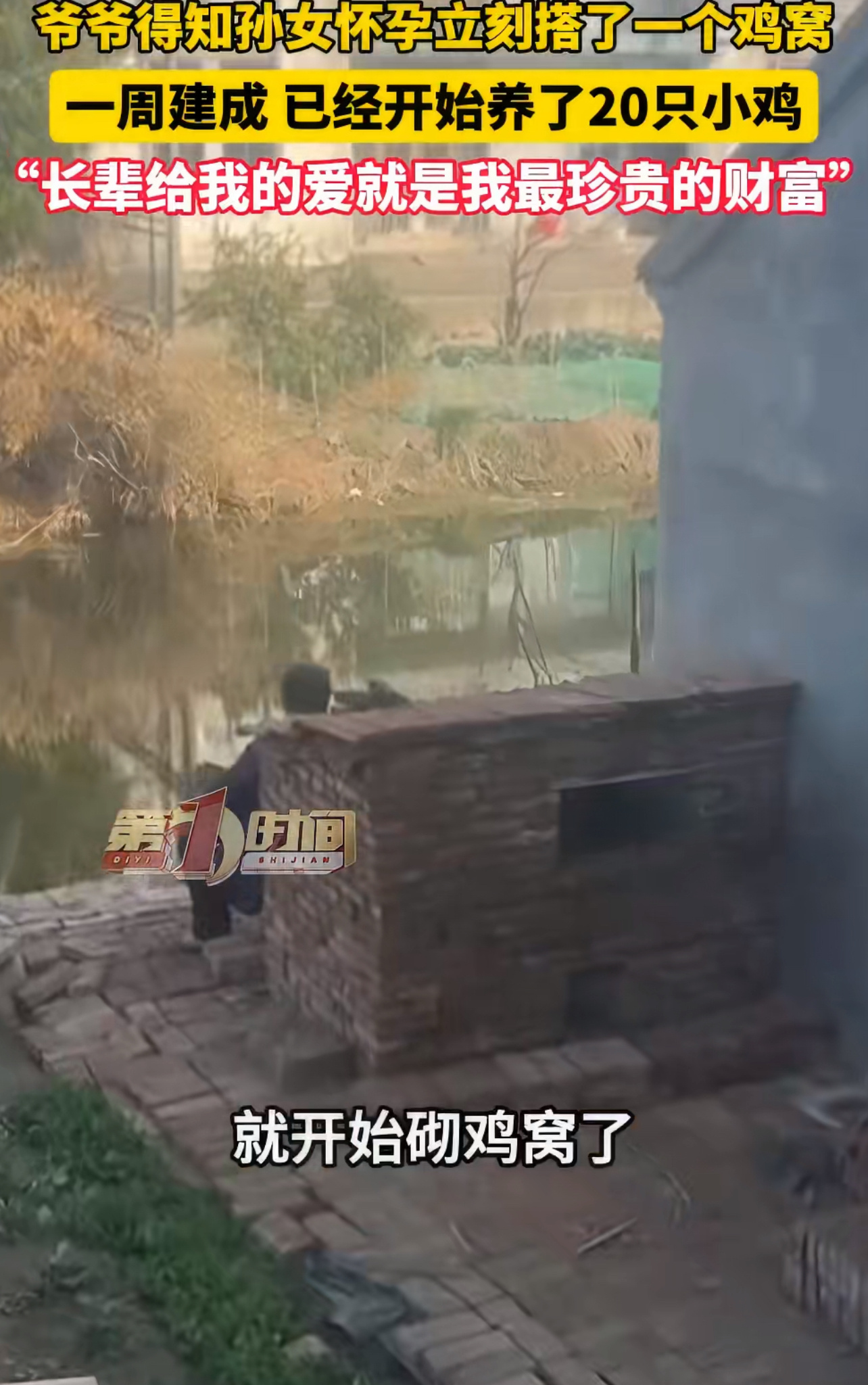 爷爷得知孙女怀孕立刻搭了个鸡窝最动人的隔辈亲，爷爷得知孙女怀孕欲来红砖搭建鸡窝 