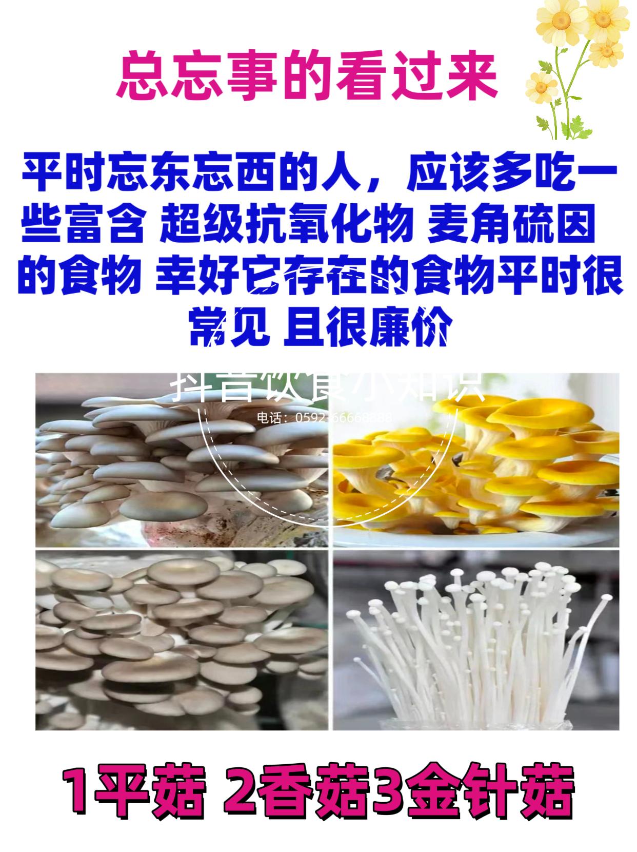 忘东忘西 的是看过来
吃野生菌的季节