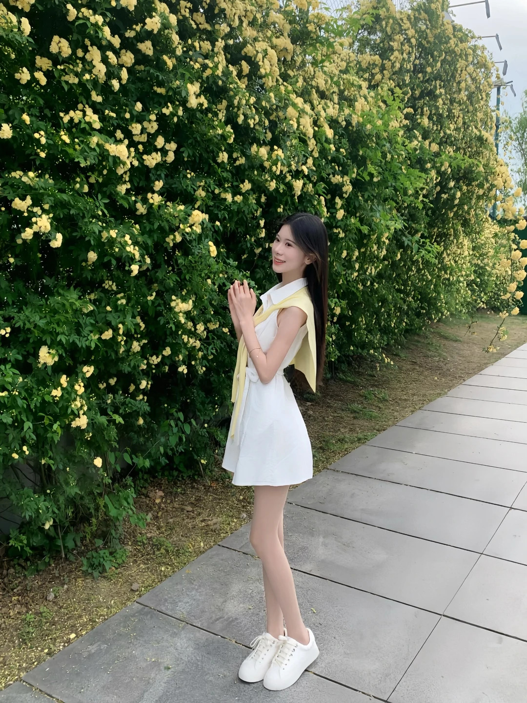 路过一片花园🌼