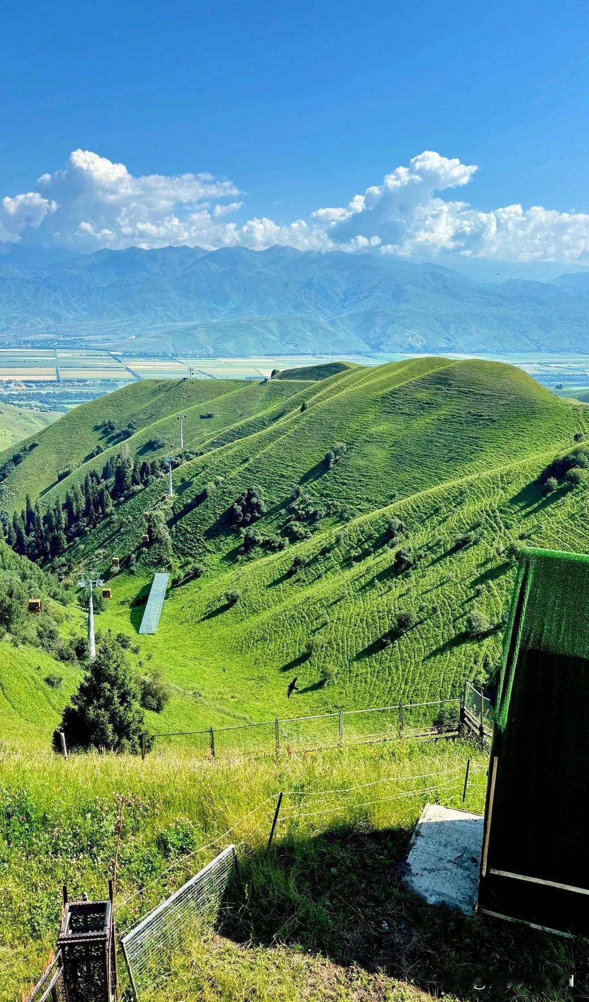 当下人们生活在一个极度功利的“有用性牢笼”里，从小到大都被追问“有什么用”——老