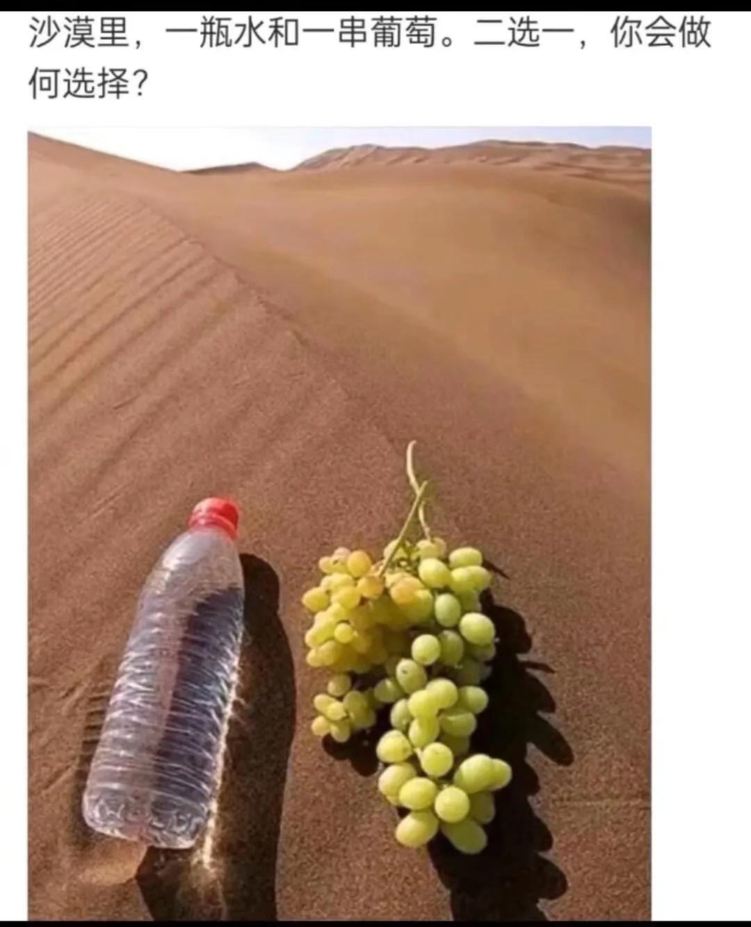 如果是你  你会选哪个！！！！