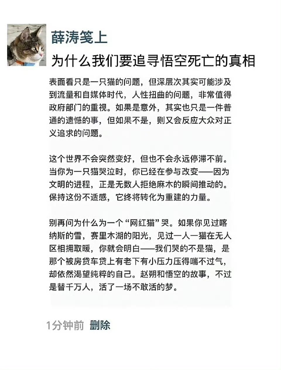 悟空小猫所以真相到底是什么？ ​​​