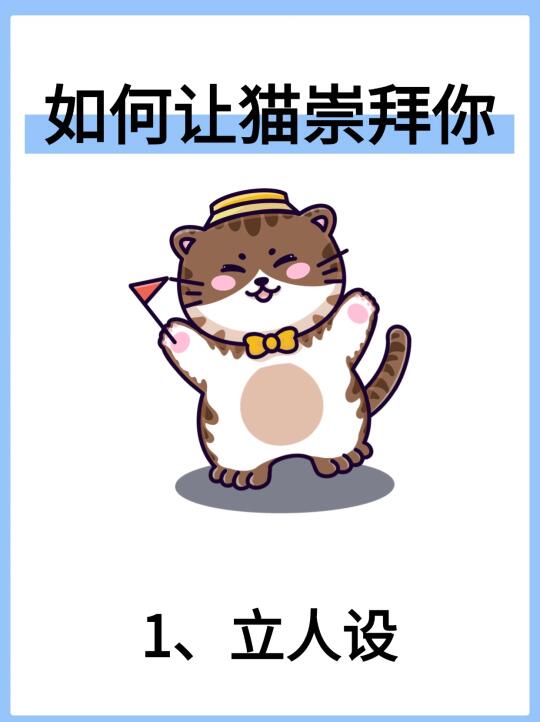 如何让猫崇拜你