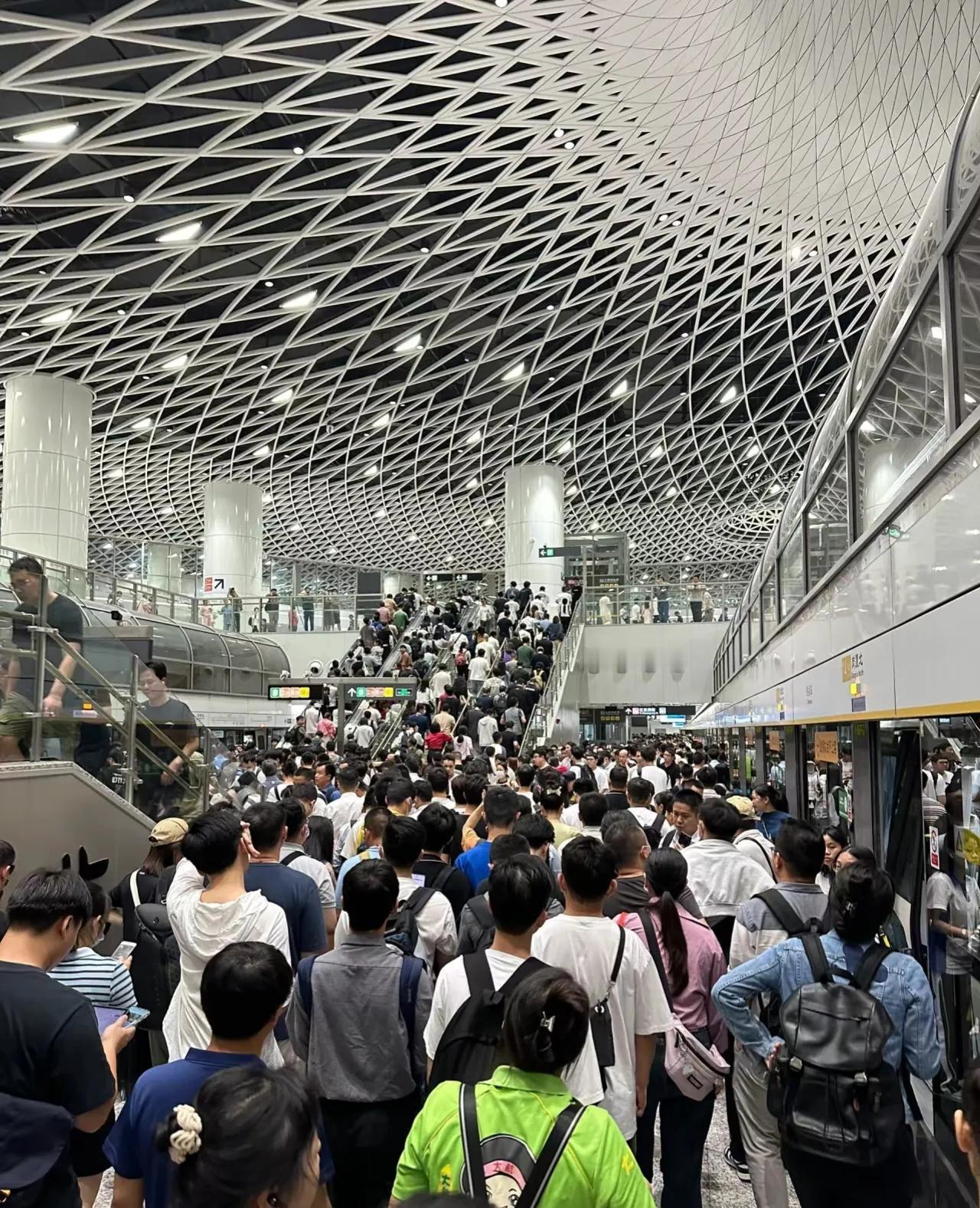 真累啊，看来这辈子离不开深圳了，生为深圳人，死为深圳打工魂！回家半个多月，家里找