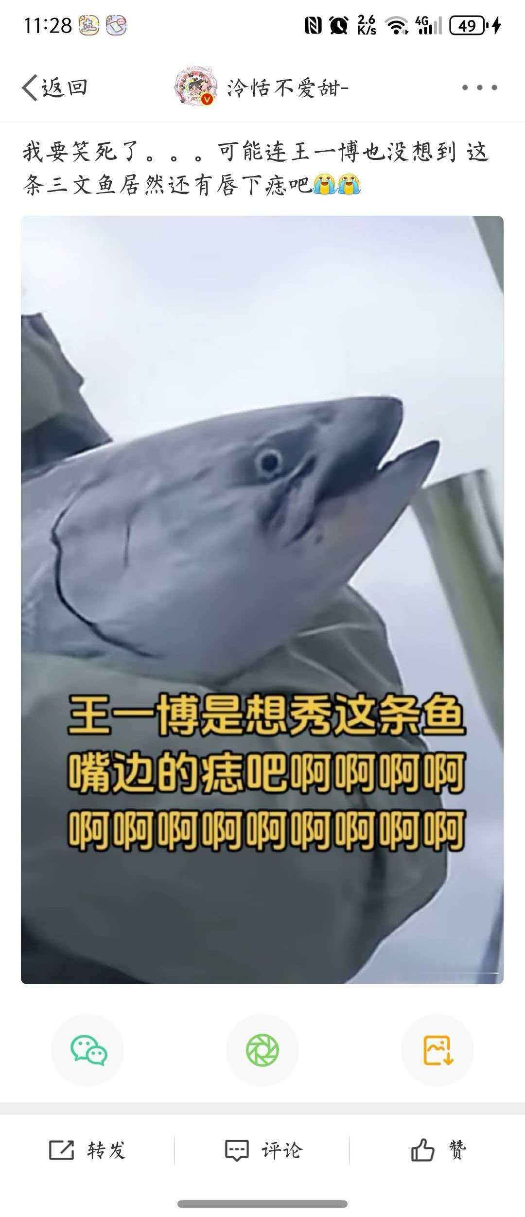 仇人看了也该释怀了 