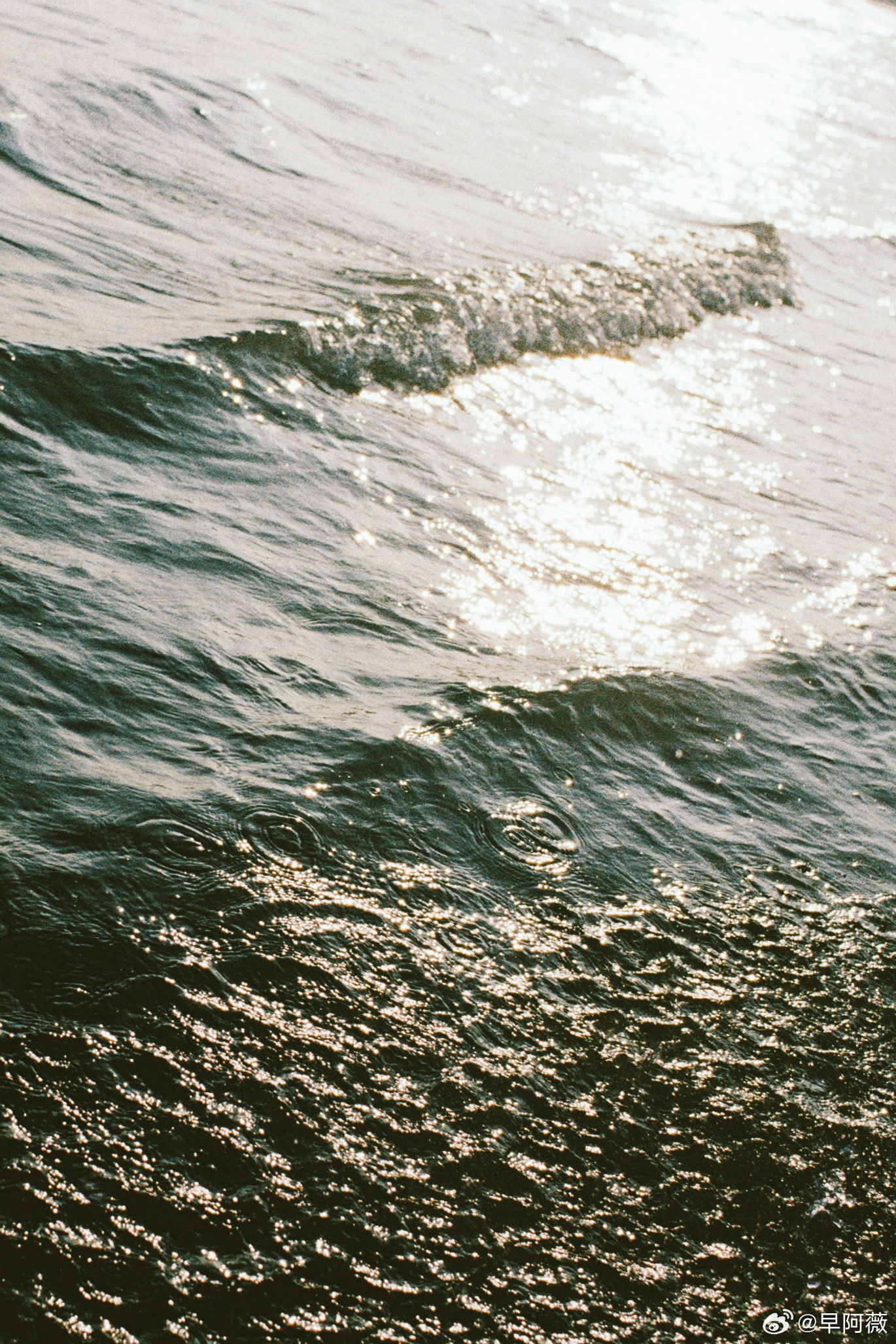 胶片日常✨在夏天捉了一些光#摄影##胶片##记录美好生活# ​​​