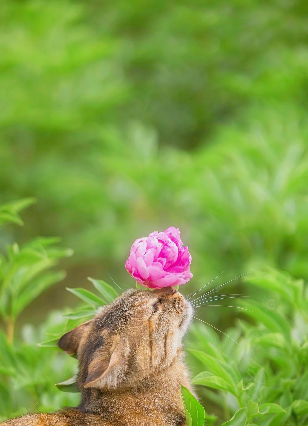 福薄之人，缺憾明显”：辛劳一生，却没有福报的人，有4个特征固执死板，一味蛮干
完